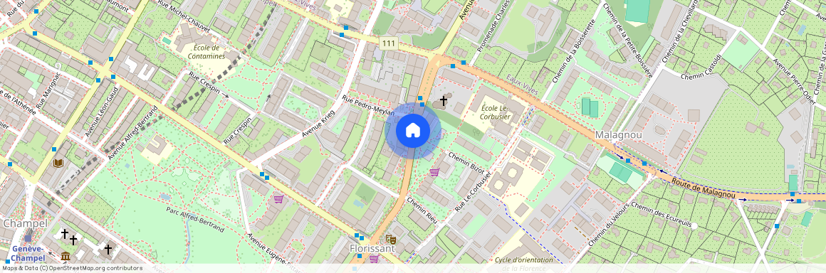 Chemin Rieu, 1208 Genève