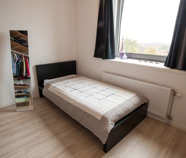 Kooikersweg - Photo 2
