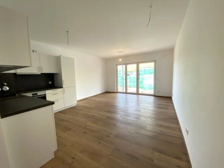 Hier ist das Glück zu Hause! Moderne 2-, 3-und 4-Zimmer-Wohnungen in SC-Wolkersdorf zur Miete! - Foto 3