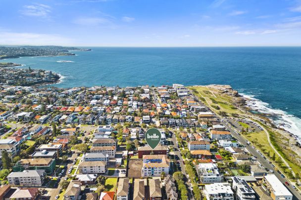 Another Successful Result By David Ibanez - Photo 1