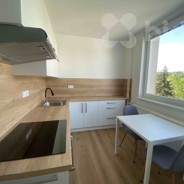 Pronájem bytu 1+1 37 m² - Photo 1