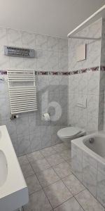 SPACIOUS, RENOVATED AND LUMINOUS - Photo 3