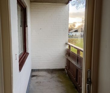 Ekbacken, Asarum - Foto 5