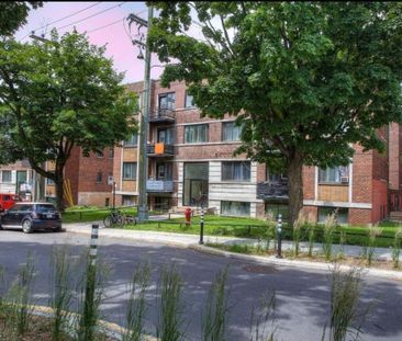 Appartement à louer - Montréal (Côte-des-Neiges/Notre-Dame-de-Grâce... - Photo 3