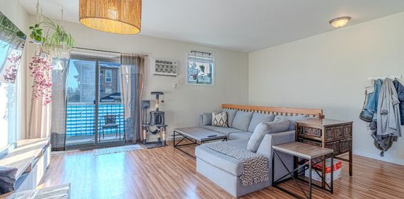 Vraiment belle appartement à louer - 56 rue de l'Emerald #2 - Photo 2