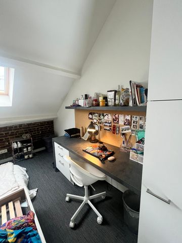 Baudelo — Steendam - Photo 3