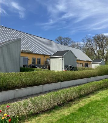 Lilla Möllevångsgatan 10 - Photo 1