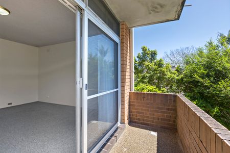 6/111 Harbord Road, Freshwater NSW 2096 - Apartment For Rent | Domain - Photo 4