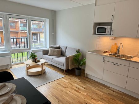 Plåtslagaregatan, Norrköping - Photo 5