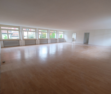 Sehr grosse 4-Zimmer-Loftwohnung (218m2) in ruhiger Umgebung - Photo 6