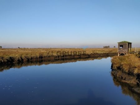 Apartamento T1 em Aveiro - Photo 3