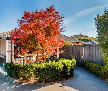 Renovated 3-Bedroom Home in Prime Location - Photo 2