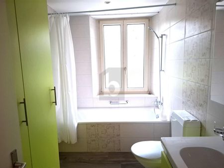 SPACIEUX, EN PLEINE NATURE - Photo 5