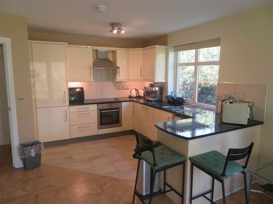 45 Glenburn Manor, Dunmurry, BT17 9DX - Photo 1