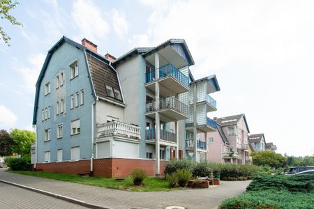 Poznań, ul. św. Rocha - Zdjęcie 5