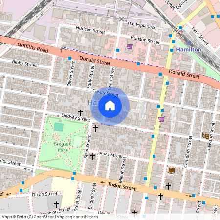 45 Swan Street, Hamilton NSW 2303