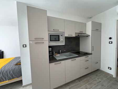 Location Appartement 1 pièce 30m² CARMAUX 81400 - Photo 3