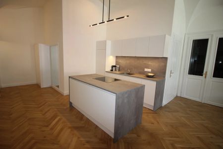 Möbliertes Apartment in der Villacher Innenstadt für Kurzeit- und Langzeitvermietung - Photo 4