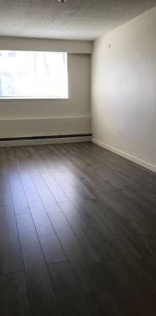 Huge 4 bedroom, 2 bathroom, 1st floor apt - Photo 1