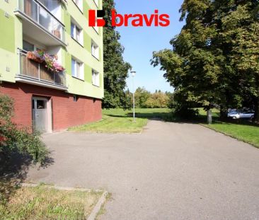 Pronájem bytu 1+1, ul. Palackého třída, sklep, komora - Fotografie 4