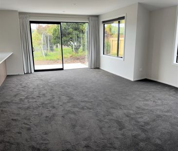 29a Elizabeth Street, Richmond, Nelson - Photo 2