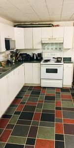 Langara/main 2 bedroom +flex basement suite for rent - Photo 3