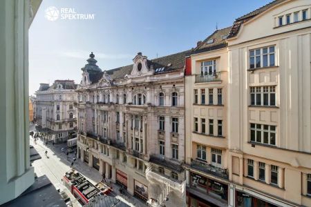 Pronájem nadstandardního bytu 3+kk po rekonstrukci, 80 m - Fotografie 5