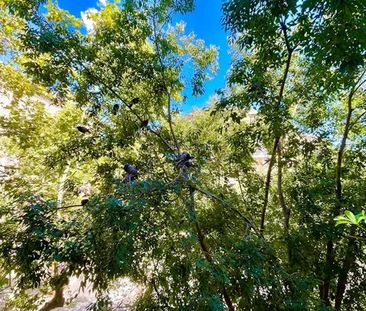 Carrer del Consell de Cent, Barcelona, Catalonia 08011 - Photo 2