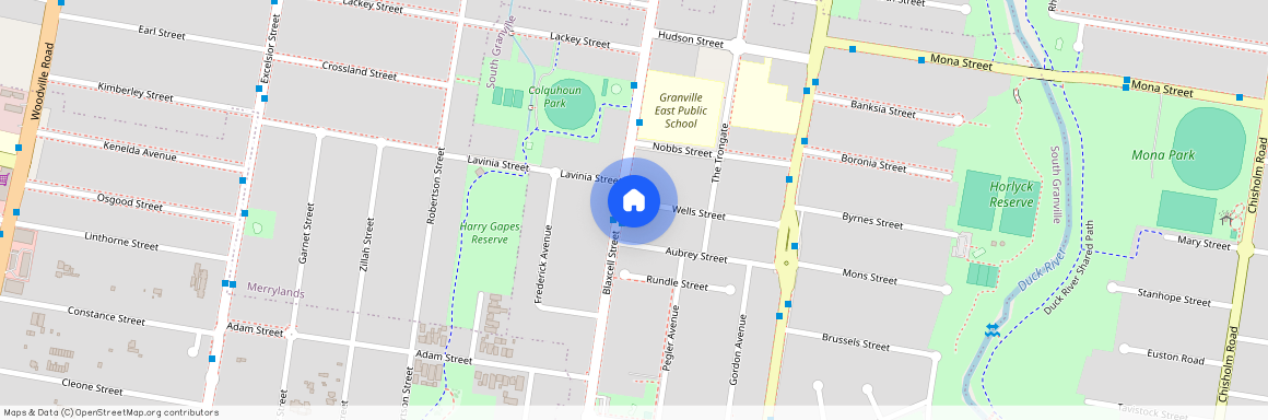 229 Blaxcell Street, NSW 2142, Granville