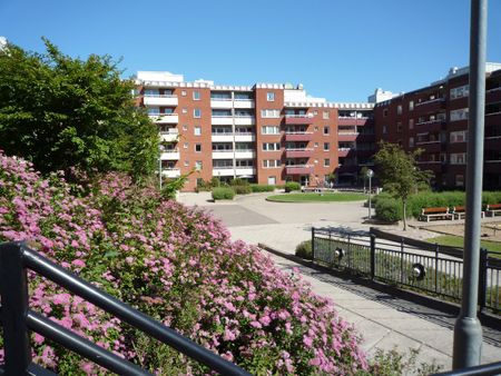 Bråddgatan 37 - Foto 4