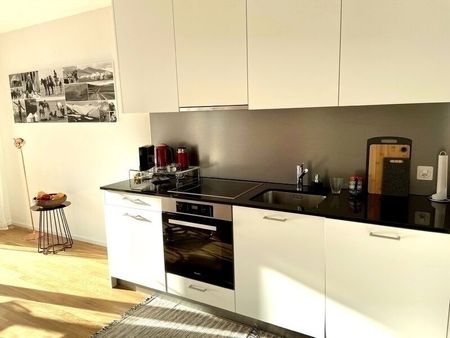 APPARTEMENT 2 PIÈCES À BÂLE - ISELIN, MEUBLÉ, TEMPORAIRE - Foto 5