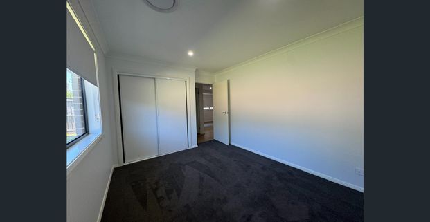 Just in time for Christmas! - Photo 1