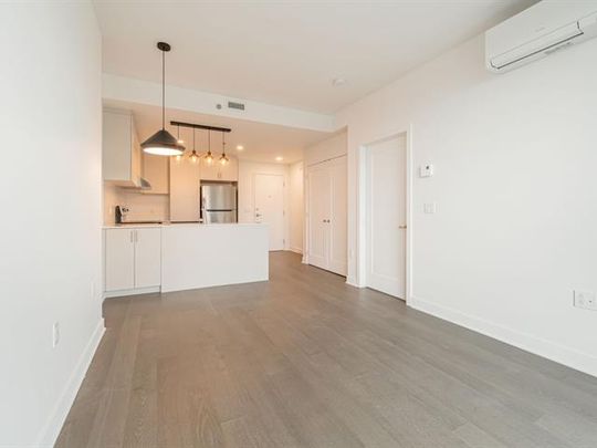 7070 Boul. Newman - Photo 1