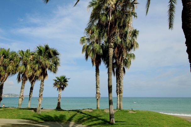 Estudio de alquiler en Maritimo Ciudad de Melilla, La Malagueta - Monte Sancha - Photo 1