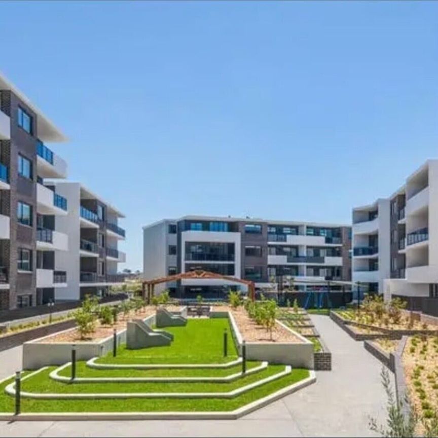 Schofields - Photo 1