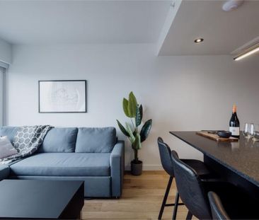 3 ½ entièrement meublé à louer Saint-Jean-Baptiste février 2026 - Photo 3