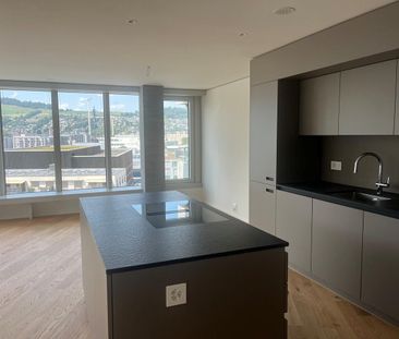 Wohnen über den Dächern von Luzern Süd - Foto 4