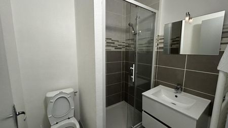 Location Appartement 2 pièces 44m² ROANNE 42300 - Photo 5