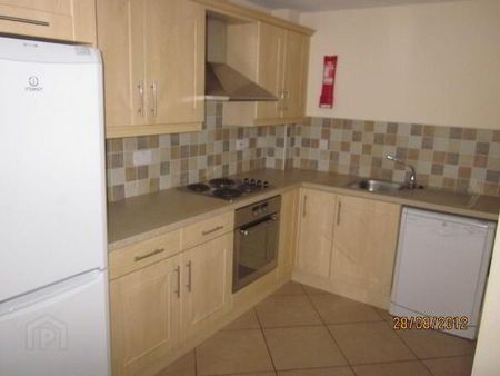 Unit 3, 50 College Park Avenue, Belfast, BT7 1LR - Photo 4