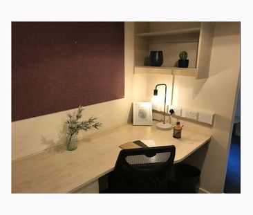 Shared apartments / Private studios / Festival Lets - Photo 5