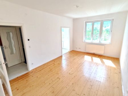 Vierzimmerwohnung im Südburgenland - Mit Gemeinschaftsgarten, auch mit Gemüseanbau , grüne Ruhelage - Photo 5