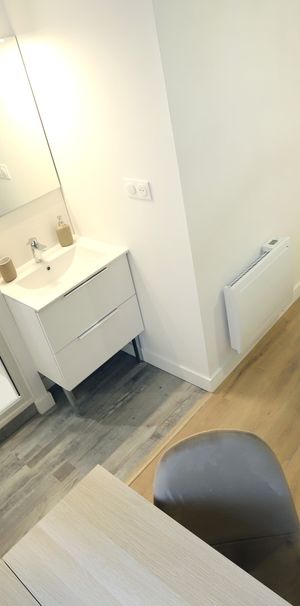 PIERRE LOTI Roommate 3 Bedrooms at Brest - Photo 2