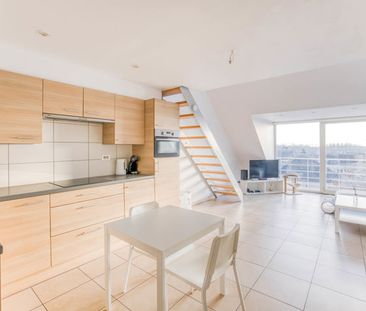 Duplex te huur in Temse - Photo 4