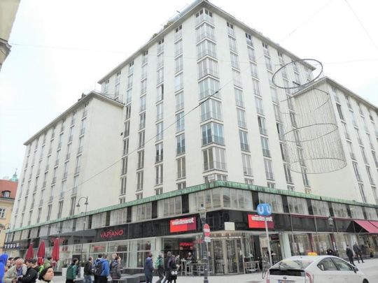 10. OG! MEGA BLICK!!!! Generalsanierung 2021!!! Klimatisiertes Apartment im HOCHHAUS HERRENGASSE!!!! - Photo 1