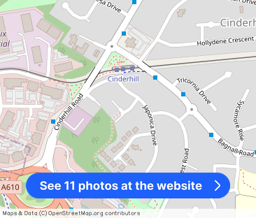 Silver Birch Close, Bulwell - Photo 1