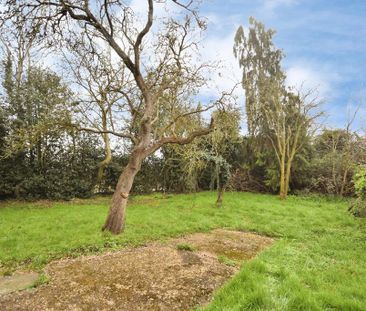 1 bedroom bungalow to rent - Photo 4