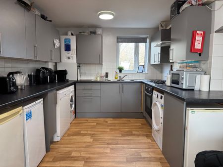 Room 2, 21 Albert Square, NG7 2FH, NOTTINGHAM - Photo 5