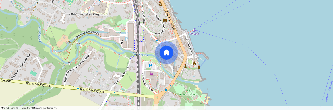 Rue du Vieux-Moulin, 1290 Versoix