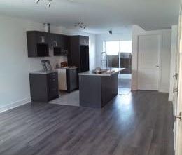 Appartement en sous-sol à louer à Brossard (2 chambres, 1 salle de ... - Photo 1