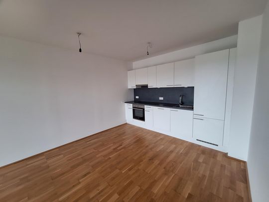 Wohnen mit einzigartigem Blick auf Linz! - Foto 1